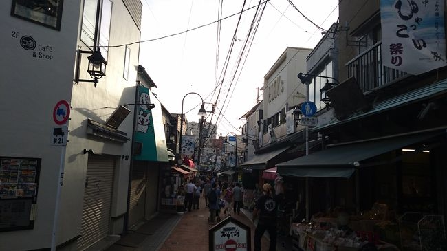 下町の中でも異質な雰囲気を漂わせている街が谷中だ。<br />上野近隣の谷中、根津、千駄木は昭和の雰囲気を残した谷根千と呼ばれるエリアだが、中でも良き昭和の雰囲気を残した商店街がある谷中銀座は懐かしく楽しい活気ある街だ。<br /><br />日暮里から谷中銀座を散策し、西日暮里駅前でやきとんとホッピーで乾杯し、絶品の鰻料理と日本酒。<br />楽しい江戸、昭和の旅だ。