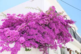 ポルトガル・スぺイン　ドライブ旅行記　10日目①　サロブレーニャ編　