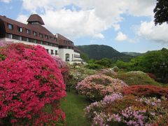 箱根の春2018～山のホテルのつつじ～