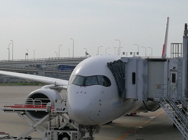 金曜の夕方から関空発、仁川空港経由でマクタン・セブ国際空港&#9992;️(第2ターミナル)へ行きました。<br />今年の7月にできた空港で、国際線専用の空港のようです。<br /><br />マイラーの彼と旅行したので行き帰り全てアシアナ航空のビジネスクラスを利用できました。感謝w<br />てか、アシアナ遅延し過ぎ…(*´Д｀*)。<br />最初から最後まで遅延して、成田へ帰るときが1番酷かった…遅延したせいで乗り継ぎが10分しかなく空港を走り回りました。疲れた…。<br /><br />しかーし、そんなアシアナ航空の機内食の評判がいいので楽しみにしてたらやはり美味しいお食事がやってきました！和牛ステーキとシーフードライス！！和牛ステーキ分厚くて柔らかい！めっちゃ美味しかったですよ(o^^o)<br />シーフードも美味しかったけど和牛ステーキおススメです。<br />※ビジネスクラスの機内食です。<br />関空から仁川、仁川からセブまでの機内食それぞれ違うのが出ました。和牛は関空から仁川までの機内食です。<br /><br />①日目の深夜2時にマクタン・セブ空港に着き、入国審査を受けるための凄い行列が待ち受けていました。殆どが韓国人のようです。<br />なんとか、審査を通り空港から徒歩3分程で着くウォターフロントエアポートホテルへGoogle MAP片手にテクテク。<br /><br />なんと！お部屋をアップグレードして貰えました♡<br />もう眠さが半端なかったのでシャワーしてメイクオフして即寝ましたw<br />翌日は私の楽しみのひとつである、ホテルの朝食です！<br /><br /><br /><br />