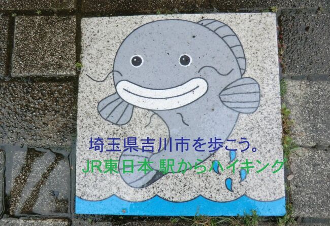 残り4県 4トラ國盗り合戦 その1 Jr東日本 駅からハイキング 武蔵野線 埼玉県吉川駅 三郷 吉川 埼玉県 の旅行記 ブログ By オーヤシクタンさん フォートラベル