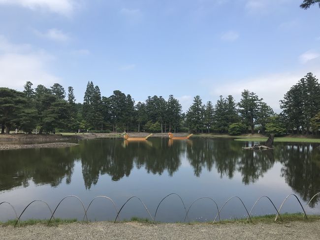 さて、花巻温泉にもさよならして、<br />今日は、世界遺産の中尊寺と毛越寺、<br />厳美渓へ、、だんごだんご、、空飛ぶだんごを求めて(o^^o)<br /><br />中尊寺の駐車場は満車で、第3駐車場まで。<br /><br />お寺の方へ歩いていくと、、<br />今日は水まきみこしのお祭り<br />なんだか得した気分！<br /><br />今日は暑くて暑くて、、<br /><br />ね～(o^^o)