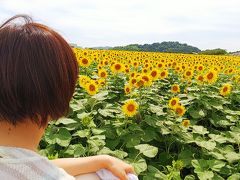 予算シリーズ 高速バスで行く！知多半島のひまわり畑と熱田・有松日帰り旅行記【予算10000円・午後編】