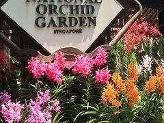Singapore-10　国立洋ラン園　見学：シンガポール植物園の一部　☆国花/長身のバンダ