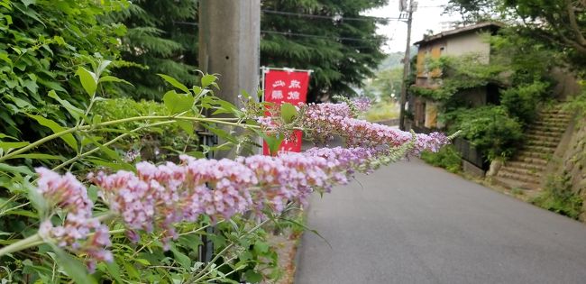 先日、倒れた加古川のおば(母姉)の顔を見に。<br />退院して元気そうな顔を見て安心。<br />姫路に1泊。<br />せっかくだから、有馬温泉に1泊。<br />しかし、加古川からの有馬温泉への移動は高齢の母を連れてはちょっと厳しかった…。