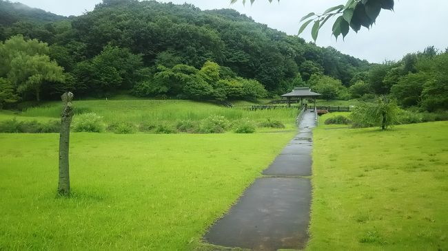 これは栃木県が県内最大の公園と言っている「みかも山公園」の旅行記です。とにかく広い公園のため、一度行った旅行記ではなく、近くに行った時に何回か立ち寄った時の事をまとめて書いています。<br /><br />花の季節に「とちぎ花センター」へ行ったのですが、東口の駐車場は公園との共通だったので、その時初めてみかも山公園も訪れて見ました。平日だったので人も少な目。子供が乗れる様な乗り物もあったのですが、係の人がいません。建物には緑の相談センターと書かれていましたが、こちらも静か。農産物を売っているお店だけにお客さんが数人いました。<br /><br />駐車場には車があるので、さすがの広い公園だと人が散るのかと思いながら案内板の地図を見ました。するとそこには頂上、尾根、七曲り、中岳などと言う文字が書かれています。道は点々で書かれ登山道のよう。ここは平らな部分もかなり広いと思いましたが、後ろの山が全部公園なのだと分かりました。都会の公園とは全くイメージが違いました。林間学校で山登りに来るような場所ではないかと思いました。<br /><br />6月になると、みかも山公園のハーブ園に花が咲いたと新聞に出ていました。初めて見たのは東口だけ、離れた西口にあるハーブ園は未訪でした。少し雨模様の日でしたが、花にあわせてか観光の様な人に何組か出会いました。入り口から通路の両側にハーブが植えられ、小さな花を咲かせていました。細かく区切って、それぞれに名札が付けられていてわかりやすく配慮されています。同じ花が一面に咲く北海道の様なイメージではありませんが、丁寧に育てられている感じがしました。<br /><br />また別の日は、万葉庭園へ。ここには駐車場がなく、西口から歩くかフラワートレインに乗ると行けます。トレインは子供が喜びそうですが、運転間隔が長かったので歩きました。ここは一面緑で、木や草の種類がわからないと何が万葉なのか、普通の自然公園にしか見えません。植物の説明は書かれていて、あの歌に出てくる木の姿はこれかと知らされます。駐車場が無いためかほとんど人に会わず、静かで落ち着いたところでした。<br /><br />何度か行きながら、まだ湿性植物園や登らなければいけないかたくりの園へは行けていません。いったいどれほど広い公園なのか、いや公園と言うよりここは山だと思います。<br />