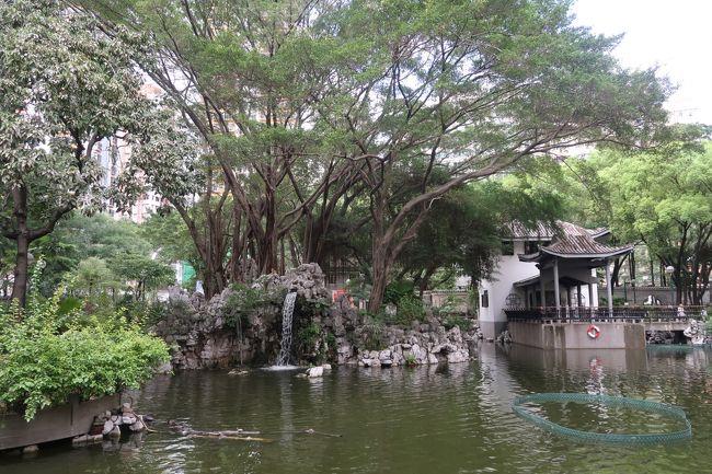 7月半ばもタイに数日行き、<br />15日に香港に戻ってきました。<br /><br />香港でお得に食事をするには<br />やはり朝早くか午後がおすすめ。<br />午後は下午茶のメニューがあり、<br />お得に食事やおやつをいただけます。<br /><br />深センにすんでいたときは<br />香港に平日一人で遊びに来ると<br />この時間帯を狙って食事することが<br />多かった私ですが、娘が生まれてからは<br />どうしても間が悪くて下午茶の時間帯を<br />はずしがち(数10分早く入店してしまうため)<br />でしたが、この日はお得な下午茶楽しめました。<br /><br />この日行ったのは、最近行きつけの(?)<br />点心専門店、全記。<br />14時半から点心2品とお茶で35香港ドル!<br />選べる点心は限られていますが<br />それでもかなりお得。<br />店員さんも感じがよいし…<br />荃灣にいらっしゃることがあれば<br />(誰も来ないかなー?)おすすめです。<br /><br />飲茶の後は、AEONに買出しに行き、<br />その帰りに公園や路地裏を散歩しました。