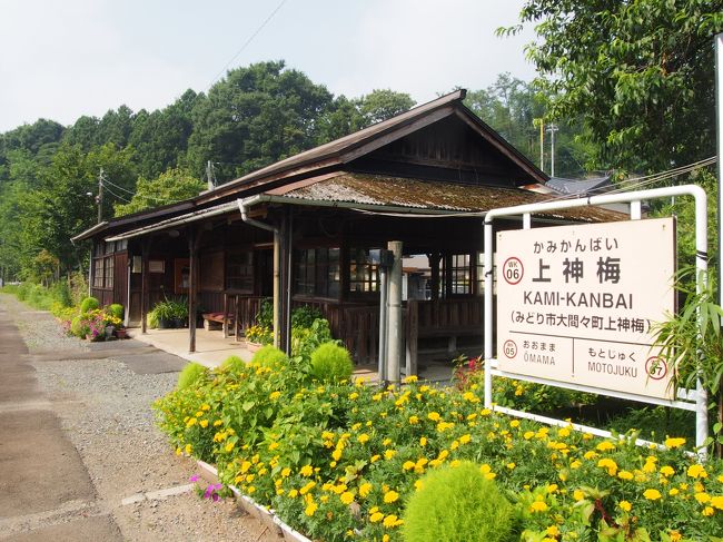 再び、群馬県内のJR東日本線（両毛線の小山～桐生間、高崎線の深谷～新町間を含む）と東武鉄道線（栃木県の一部を含む）、上信電鉄線全線、上毛電気鉄道線全線、わたらせ渓谷鐵道（桐生～沢入間）の普通列車（快速含む）の普通車自由席が1日乗降自由のぐんまワンデー世界遺産パス(￥2100)を利用の旅です。<br />今回は、前回予定していたのに回れなかったわたらせ渓谷線の大間々と桐生を回ることにしたのですが、それだと運賃の合計が￥2080なので(笑)、大間々の次の駅が登録有形文化財で気になっていたのでそれも盛り込んでみましたw<br /><br />ぐんまワンデー世界遺産パス;<br />http://www.jreast.co.jp/takasaki/common/pdf/2018onedaypass.pdf<br /><br />わたらせ渓谷鐵道;<br />http://www.watetsu.com