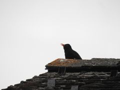 ここに来たかったんです、ミューレン（4週間旅行-その2）