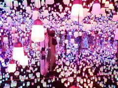 2018年夏!:2018年6月21日(木)に開業!『MORI Building DIGITAL ART MUSEUM: teamLab Borderless』『森ビルデジタルアート ミュージアム エプソン チームラボボーダレス』に行く!(家族で)