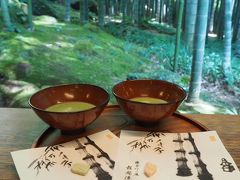 報国寺　竹寺。毎年こちらの竹林を観ながらお抹茶を頂くのが楽しみ!　夏の季節がやって来た!