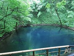 久しぶりの女ばかり3世代 人気東北ツアーに参加する 2　鶴の舞橋　白神山地　五能線