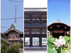 京都寺社巡りは猛暑にも負けずに、法金剛院、仁和寺そして大雲院を訪ねる