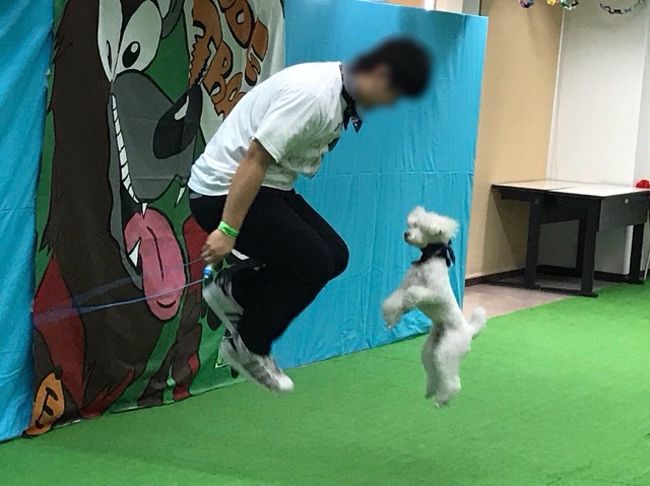 大宮駅前にある動物学校の文化祭にお邪魔してきました。<br />いろんな動物に触ったり、ショーを見たりして楽しませていただきました。