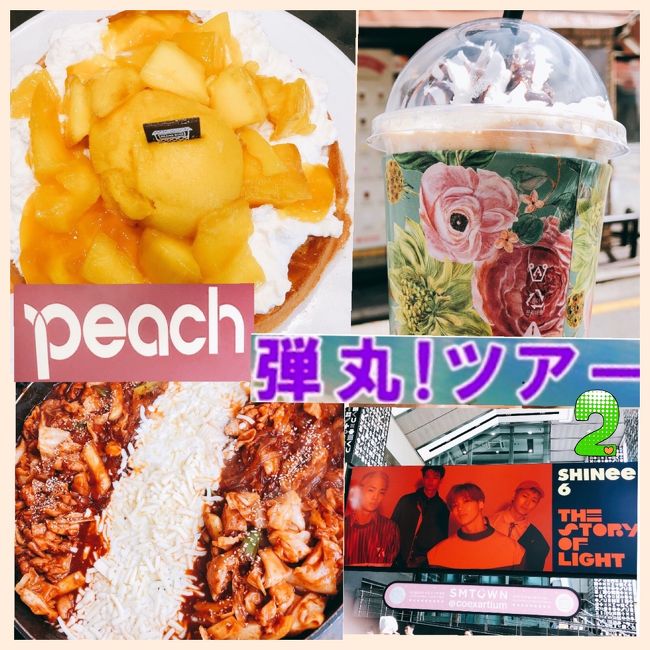 初PEACH弾丸ツアー44時間40分  ②