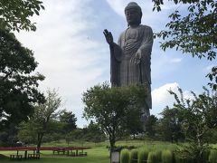 美浦トレセン見学ツアーと牛久大仏