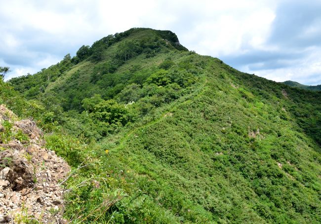 日本二百名山のひとつ大日ヶ岳(1709m)を目指したが、あまりの暑さに約1時間手前の鎌ヶ峰までとした。この日は、麓の郡上市八幡で国内で最も暑い最高気温39.8℃を記録していた。稜線上は日陰もなく暑さにはまいったが、登山道脇にはニッコウキスゲの群落他いろんな花が美しく咲いており、大満足。<br /><br />1.コースタイム<br /> ・10:00 ゴンドラ山頂駅<br /> ・10:45 水後山<br /> ・11:45~12:30 鎌ヶ峰<br /> ・13:50 ゴンドラ山頂駅<br />2.登山道の様子<br />登山道はよく整備されており危険はないが、2箇所ほど稜線脇で崩れているところ有り。先日の大雨の影響か? 鎌ヶ峰の山頂に近付くにつれ右斜面にニッコウキスゲ他のお花畑が美しい。<br />
