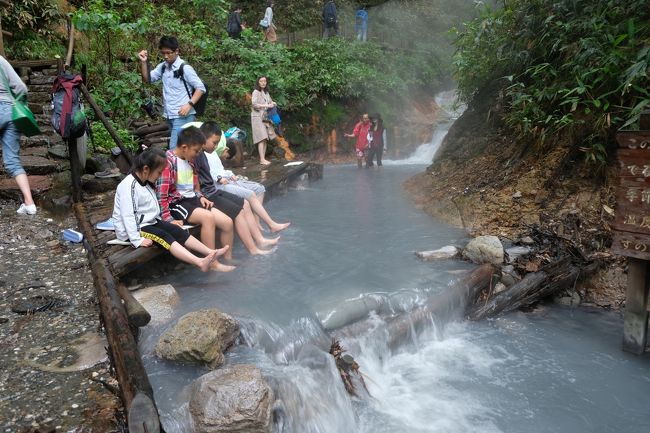 今回の旅行企画も前回の沖縄に続き、JALのマイレージを使った旅行です。<br />しかし上海からの国際線＋国内線（1区間扱いで国際線マイルのみでOK）のマイレージ席の割り当てが極端に少なく、かなり前からも全く「残席なし」状態が続きました。<br />函館IN,旭川か釧路あたりからOUTのルートは絶望な状況で、入りも出も新千歳で尚且つ国際線がプレミアムエコノミーでキャンセル待ちまで来ました。プレミアムエコノミーはあまり価値がないとは思いながらも、結局取れたので最大限楽しむことにしました。<br /><br />2013年9月に家族四人で一度訪れた北海道。<br />前回は時期を少し外してしまったラベンダー鑑賞を、今回の最大の目的としました。7月のこの時期なら梅雨のない北海道ですので期待は大です！<br /><br />   7/3（火）上海虹橋⇒羽田⇒新千歳⇒苫小牧<br />   7/4（水）苫小牧⇒函館<br />★7/5（木）函館⇒登別<br />★7/6（金）登別⇒旭川<br />　7/7（土）旭川⇒美瑛⇒富良野<br />　7/8（日）富良野⇒札幌<br />　7/9（月）札幌⇒新千歳⇒羽田⇒上海浦東<br /><br />マイレージ：＠30.000マイル<br />レンタカー：タイムズ6日間　27,700円　総走行距離　1,004Km<br />ガソリン給油：60L　8,845円　燃費16.73Km/L<br />高速道路代：総額　16,560円<br />ホテル6泊：総額　117,438円（朝夕/朝/飲料込みさまざま）<br /><br />※上海在住者です