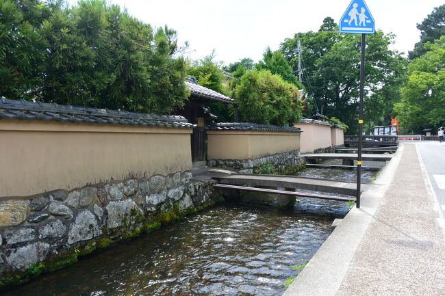 上賀茂神社は現在の京都の中心地からは結構離れているので今まで訪れたこ<br /><br />とがありませんでしたが、重伝建の社家の街並みを見たくて、バスに<br /><br />乗ってやってきました。<br /><br />