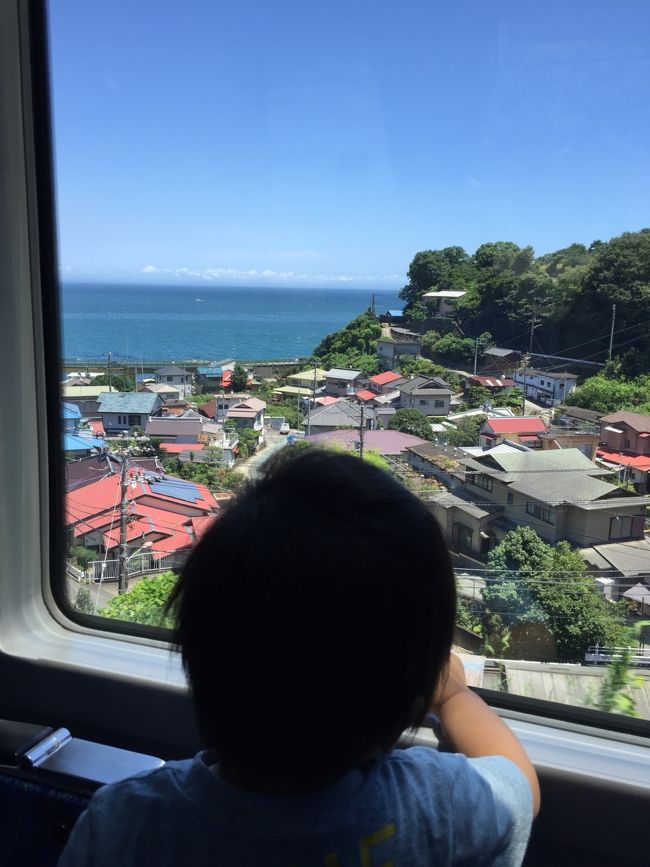 温泉と海を満喫すべく、伊豆稲取に行ってきました。<br /><br />スーパービュー踊り子5号東京駅11時発。<br />南伊豆フリー乗車券 ¥6,160と特急券片道¥2,750の2人分を前日までに購入。<br /><br />出発まではGranStaでお弁当を買う。<br />丁度土用の丑の日と重なったこともあり、鰻のお弁当が沢山ありました。<br />息子くんと私は、鰻おこわと天むす弁当をシェア、パパは柿の葉寿司を選びました。<br />