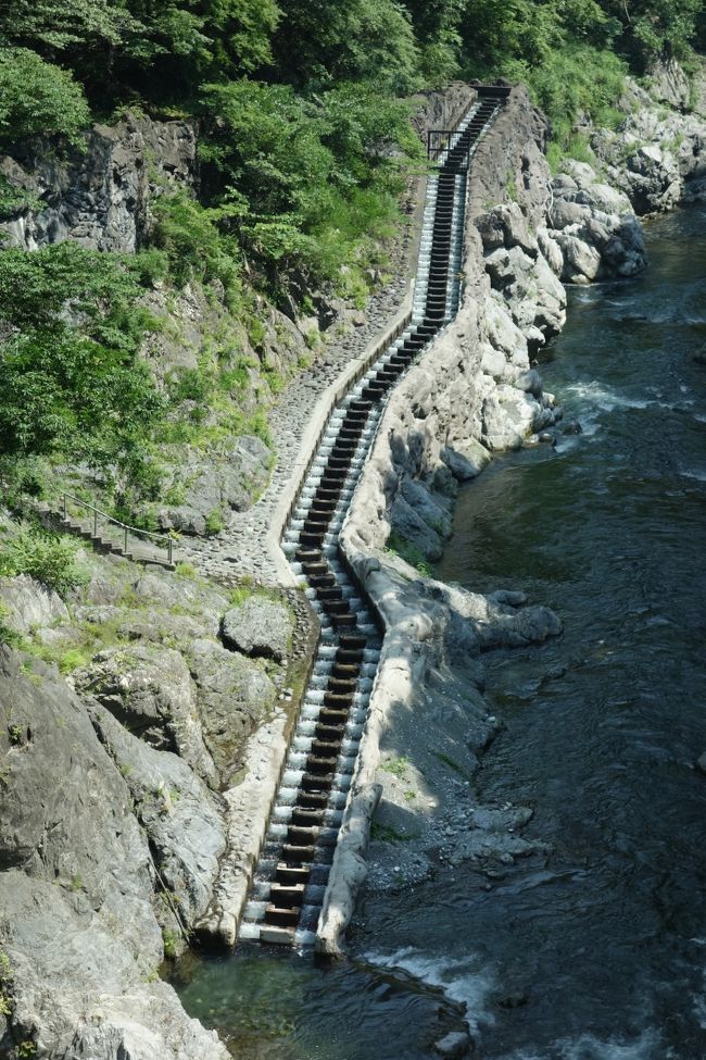 鳩ノ巣渓谷の遊歩道から白丸ダムまではこちらをご覧くださいね。<br />https://4travel.jp/travelogue/11379513<br /><br />何故こんな猛暑の中、わざわざ出かけて来たかと言うと・・<br />いくらクラツーの配達のバイトが残っていたとは言え、3連休を何もせずに終える訳には行きません。<br />でも、まだ18きっぷの時期じゃないから遠出はし難い…。そんな中、思い出したのが東京水道局の方お勧めの鳩ノ巣渓谷でした(ちょうど1ヶ月前にツアーに参加したでしょ、その時に教えてもらったの)。途中の白丸ダムには魚専用の道(?)が在って、無料で見学可能な日に当たってます。しかもPHO好みの巨岩も在るらしい♪<br />混んだら嫌なのでホリデー快速より1本前に到着しようと、5時55分に最寄り駅発。そしたら早過ぎましたね。人は居ないし、どっち行ったら良いの？ってウロウロ★<br />白丸ダム魚道のオープンにも1時間近く待っちゃって、ちょっと勿体無い時間の使い方になりました。<br />けど、珍しいモノ見られて良かったですけどね☆<br />てか、白丸駅には周囲を含め、自販機すら無くて、ホント未知の場所行った気になりました。<br />日焼け止めは何度も塗り直しましたが、みるみる汗で流れて役立たず(泣)<br />