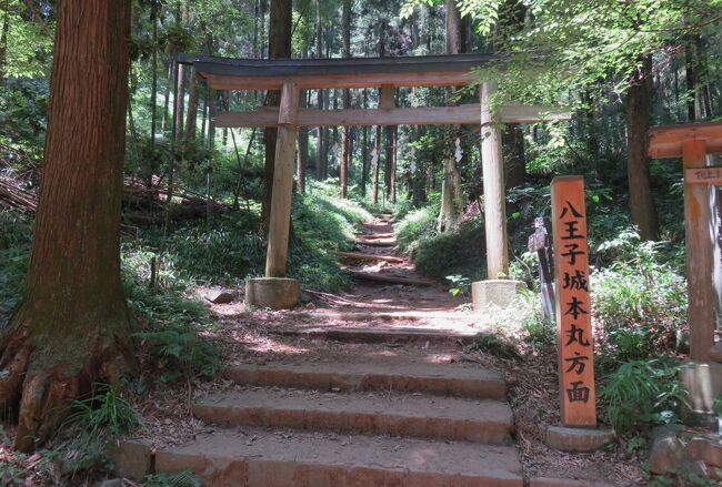 八王子城の縄張りは、北浅川と南浅川に囲まれた東西約3キロ、南北2～3キロの範囲に及び、山の尾根や谷など複雑な地形を利用していました。山頂の本丸、松木曲輪や小宮曲輪などを配置した要害地区、御主殿がある居館地区、麓の根小屋地区等で構成されていました。