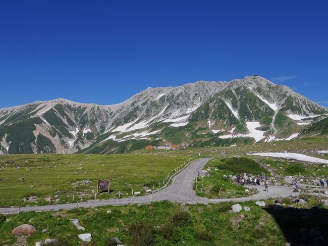 行程は富山から立山・黒部アルペンルートで室堂に3泊して扇沢へ抜け、信濃大町から長野へのルートです。<br />立山は初めてなので室堂でたっぷり時間をとりました。<br />新幹線で富山へ電鉄富山で立山駅へケーブルカーを降りて美女平で1時間ほどハイキング、見事な立山杉を鑑賞しました。<br />室堂に到着後、ホテル主催の散策会、星空観察会に参加。気温は日中でも20℃以下で快適です。<br />2日目の早朝は、ご来光ツアーに参加。3時50分にモーニングコールがあり4時30分にロビーに集合、トロリーバスで大観峰展望台へ、鹿島槍ヶ岳に昇るご来光を見ることができました。<br />室堂に戻って真砂岳に昇る2回目のご来光に対面。みくりが池に氷が張っているのにはびっくりしました。<br />朝食後、1時間ほど仮眠休憩してから弥陀ヶ原へ、弥陀ヶ原では帰りのバスを予約してから立山カルデラ展望台へハイキング、このコースは高山植物が豊富です。展望台からは立山カルデラが一望でき、薬師岳が目の前にそびえ立っています。<br />弥陀ヶ原ホテルへ戻って氷見うどんの昼食後、ホテル脇の木道から最長コースで2時間ほどの良く整備された木道を散策。ワタスゲ、ゼンテイカ等が最盛期でした。<br />夜には再び星空観察会、昨日よりも良く晴れて楽しめました。<br />3日目は、室堂山登山。雄山登山を計画していましたが不安も有り、室堂山に変更しました。まだ雪渓が残る良く整備された登山道をゆっくりと登って、室堂山展望台へ。目の前には五色ヶ原、薬師岳を望み遠くに槍ヶ岳、穂高連峰や笠ヶ岳（いずれも過去に登頂、懐かしい）が展望できました。<br />室堂平へ戻って、室堂山荘の食堂でかき揚げうどんの昼食後、雷鳥荘を目指しました。<br />水彩風景画の展示がされているというので見に行きました。<br />地獄谷の硫黄臭にさらされながら長い階段の昇降で雷鳥荘に到着、立山を題材にした十数点の水彩風景画が展示されていました。<br />雷鳥荘の近くで地獄谷方面へ入り込んだ雷鳥を保護センターの方がハイマツ帯に戻そうと奮闘していました。<br />みくりが池温泉のテラスではハイマツ帯に向かって望遠鏡やカメラがセットされ雷鳥の出現を大勢の方が狙っていました。<br />しばらく望遠鏡を片手に粘ってみましたが空振りでした。<br />昨夜のスライド上映会でホテルの担当者が室堂から天狗平のコースがおすすめだと聞いていたので16時30分を過ぎてしまいましたが今日中に行ってみようということになり水筒に水を補給して出発、ここもチングルマやコバイケイソウ等花盛りで楽しめました。<br />下りきって川を渡って登り始めるとカメラを構えたご夫婦が雷鳥の親子を見つけたようです。<br />雛は6羽、それぞれ自由に遊び回っていますが母親は首をもたげ周囲を警戒、ほのぼのとした光景を見ることができました。<br />天狗平山荘で室堂行き最終バスを予約、剱岳の雄姿をカメラに収めなんとか夕食の時間に間に合いました。<br />4日目も快晴、トロリーバス、ロープウエイとケーブルカーを乗り継いで黒部湖へ、遊覧船からの展望を楽しんでからトロリーバスで扇沢へ、路線バスで信濃大町駅へ向かい大糸線、篠ノ井線経由で長野へ新幹線で帰路につきました。<br />4日間快晴に恵まれた最高の旅でした。<br />