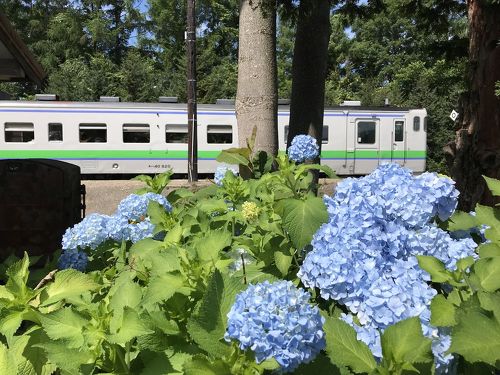 にわか乗り鉄が行く 札沼線 往復の旅』砂川・新十津川(北海道)の旅行記