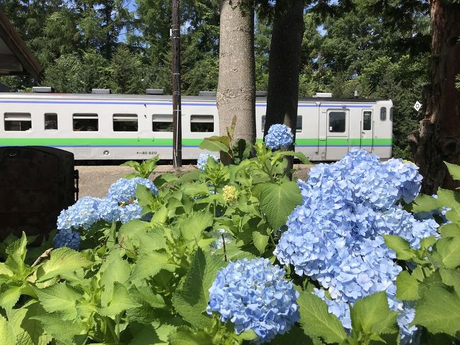 にわか乗り鉄が行く  札沼線  往復の旅