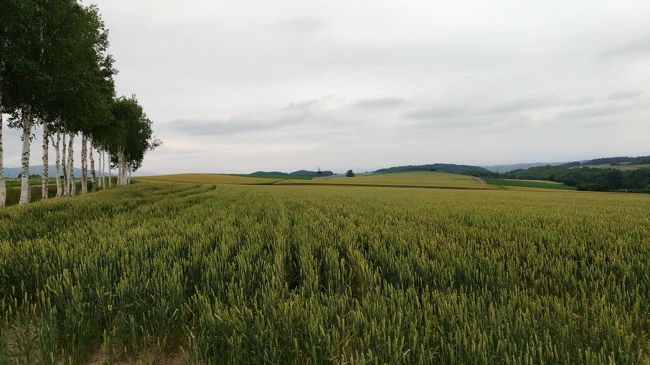 2018 7月の北海道 【後編】 湧駒荘と美瑛ドライブ