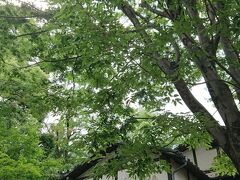 夏休み 東京旅行 1日目  吉祥寺&深大寺・鬼太郎茶屋