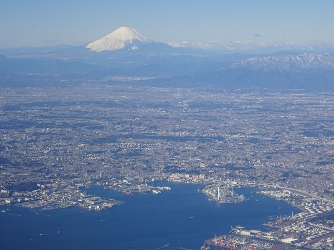 元々は出張がメインなのであるが、ついでに大好きな吉本新喜劇を見てきました。ついでに高いところが好きなので、あべのハルカスと梅田スカイビルからの夜景も見てきました。