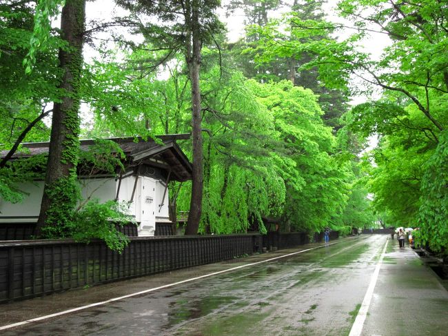 前日、秋田には強い低気圧が通過し、大雨警報が出ていたのでかなり心配される中、マイルを利用しての土日での第14回東北旅行。1日目は雨のなか、新緑の角館を歩いてきました。さわやかな青もみじと武家屋敷の町並みは雨が似合うものでした。秋田市内も観光する予定でしたが、この日は移動距離が長く、JRの運休トラブルもあって角館だけになってしまいました。