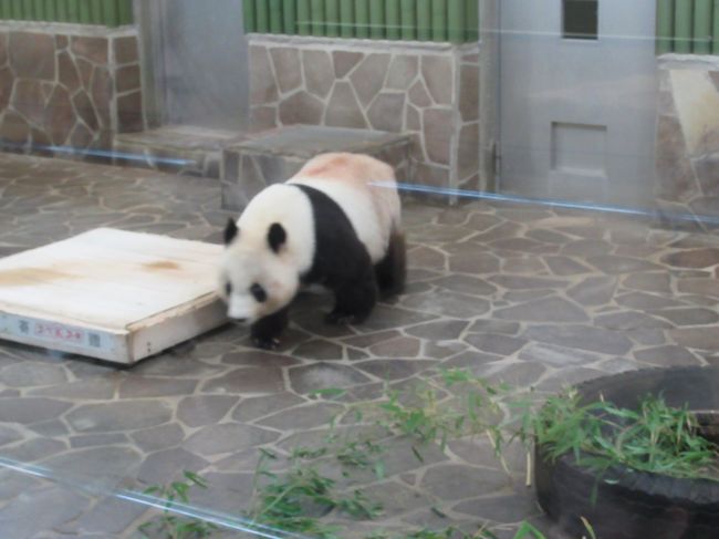 神戸 王子動物園 布引ハーブ園 御影 灘 兵庫県 の旅行記 ブログ By わんだふるさん フォートラベル