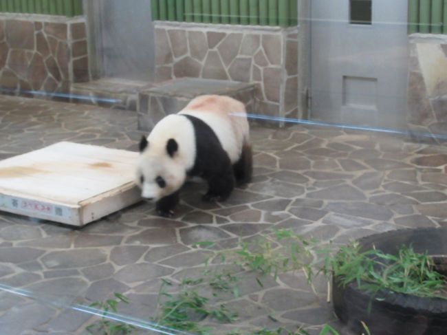 神戸、王子動物園、布引ハーブ園。