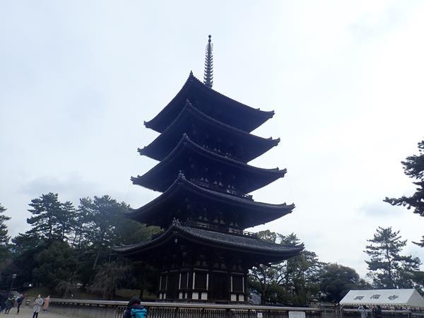 奈良交通定期観光バス「奈良公園３名所と春日奥山めぐり」は奈良公園のシンボル五重塔がある興福寺へやってきました。今年リニューアルオープンしたばかりの国宝館には有名な阿修羅像をはじめとした国宝や重要文化財などの貴重な仏像などが数多く展示されています。<br /><br />バスでの半日観光を終えて興福寺から猿沢池方向に歩くと最近観光地として注目されている、ならまちに入ります。その入口にあるお肉のおいしい囲炉裏ダイニングで素敵なランチを頂きます。
