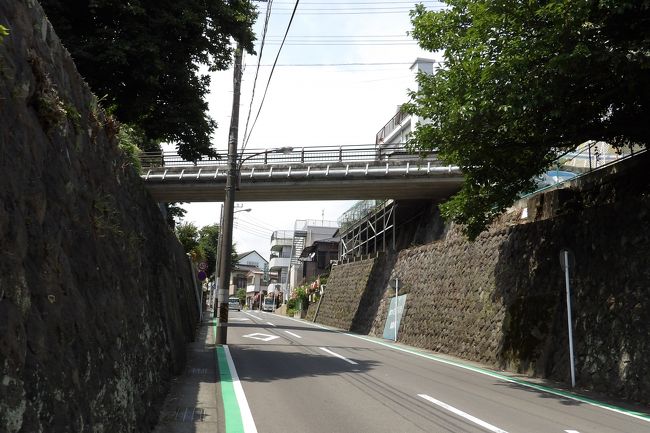 　JR真鶴駅から荒井城址公園を経由して真鶴港と貴船神社へと行き、また駅に戻って来た。<br />　真鶴町内は起伏が激しく、狭い坂道ばかりで途中に階段や地下歩道もある。しかし、町内には信号機はなく、三叉路では車が道を譲り合っていた。<br />　JR真鶴駅と真鶴港との間が市街地である。しかし、この下をトンネルで真鶴道路（真鶴ブルーライン）が通っているというから驚きだ。道路の上に陸橋が架かり、その下はトンネル。平地がなく入り組んだ真鶴町内では地中深くトンネルを貫いた方がやり易いという判断だったのだろう。これほど道路事情が悪い町は横浜市では戸塚区矢部町くらいであり、それでもこれほどの勾配はない。インフラがない鎌倉市でも大寺が建つ平地はある。<br />　また、町中に1軒だけあるスーパーに立ち寄ったが、レジ待ちがない状態であった。尤も、スーパーがすいているのは横浜でも相模原でも同じことか。また、コンビニも少なかったがそれは真鶴だからこそか？<br />（表紙写真は道路に掛かる陸橋）<br />真鶴町散歩