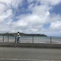 離島記：1度じゃ回りきれない奄美大島