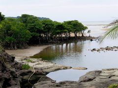 2018.7フィンランド人と一緒に西表・石垣旅行2-大原航路，食堂満八，古見サキシマスオウノ木群落，野生生物保護センター，大見謝ロードパーク