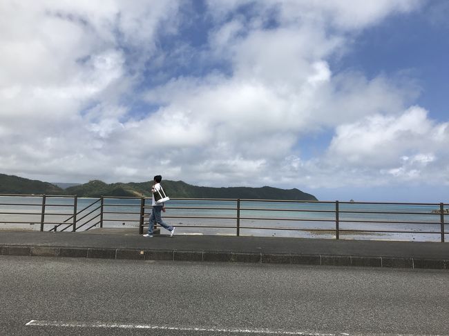 はじめての奄美大島。<br />与論島で食べた鶏飯がわすれられず、本家本元の奄美大島で食べるのが目的の1つ。<br />種類がものすごくいっぱいある島焼酎も楽しみ。<br />成田からヴァニラエアで行きましたが、8月からはスカイマークも飛ぶそうです。<br />想像以上に大きな島で、南部には行かれませんでした。次回、チャレンジしたいです。