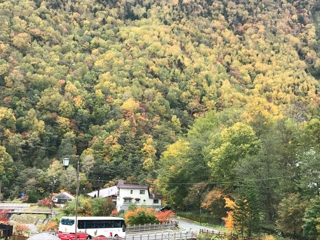 北海道に黄葉を見に行こうと思い立ち、屈斜路プリンスホテルに泊まって車で回ることにしました。<br />釧路市湿原は随分前に一度来ていましたが、前よりはずっと整備されて歩きやすくなっていました。<br />翌日、層雲峡が黄葉がきれいだとネットで見て、少し遠いけど行ってみることにしました。片道1時間半～2時間のドライブ　行くまでの道路の両側がすごくきれいでした。この1週間後、この道が豪雪となり通行止めになったと言うニュースを聞いて、ギリギリセーフだったんだなあと感慨深かったです。<br /><br />層雲峡は五合目の少し下あたりが黄葉真っ盛りで、ロープウェイから素晴しい眺めが楽しめました。<br />少し遠かったけど、行ってよかったです。