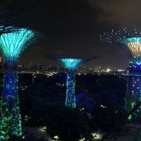 今度はスカイウェイから！音と光のファンタジー、ガーデンラプソディ　ジャカルタ・シンガポール2018の旅5-4