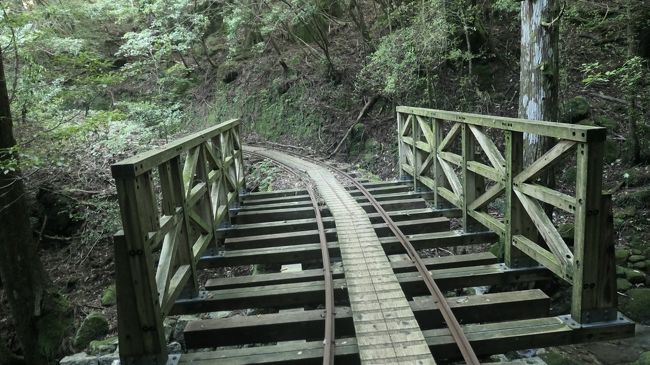 屋久島 縄文杉トレッキング 前編 屋久島 鹿児島県 の旅行記 ブログ By だいちゃんさん フォートラベル 屋久島 縄文杉トレッキング 前編 屋久島 鹿児島県 の旅行記 ブログ By だいちゃんさん フォートラベル