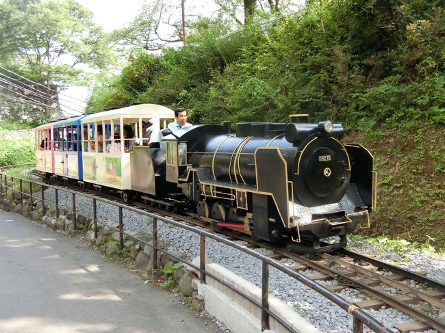 結構遊園地の鉄道って日本中にあるんだね、知りませんでした。<br /><br />　写真はS字カーブを走るデゴニ。本物そっくりだよ。ボイラーの太さ、デフとシリンダーがずれてるところ（フツーの人にはわかんないよ）素晴らしい。一般的に機関車はこのようにリアルなんだけど客車がみんなダサイ。是非このデゴニをシロクニに改造して「つばめ」編成を作って欲しい。もちろん食堂車、展望車付きで。無理か。