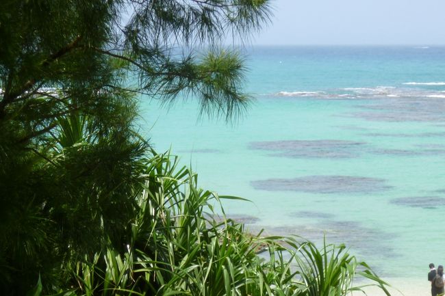 夏休み前の安いツアーがあったので奄美大島で2泊3日1人旅に行ってきました。但し沖縄に台風が近づいているとかで1日目、2日目は天気はイマイチ。<br />また奄美大島の中心名瀬市から海とか森に行くにはちょっと遠出しなくてはいけない。<br />今回私はバス利用。3日間のフリーしまバス券で南へ北へ。バスの中では地元の人と会話もでき楽しかったです。<br />奄美は沖縄とはまた違って落ち着いた雰囲気もあり、のんびりできました。<br />そういえば今年は蜂の巣が低いところに多いので台風の当たり年だとか。地元の人の情報です。