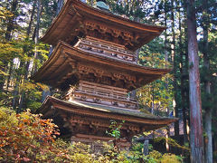 夏の光前寺の光苔と再び行った紅葉の三重塔