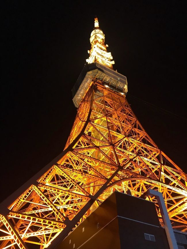 年始１月２，３日<br />１泊２日で東京スカイツリーとすみだ水族館と東京タワーとスヌーピーミュージアムへ