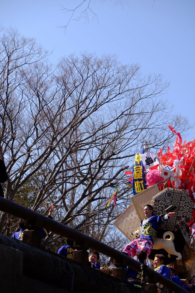 出張先で近江八幡にクレイジーな祭りがあると聞き、帰京を延長して、見にいくことにしました。自分が知っている祭りの派手さとは違う派手さを見ることができて、日本の文化の面白さを発見することができました。また、祭りの合間の時間には彦根城なども見学しました。