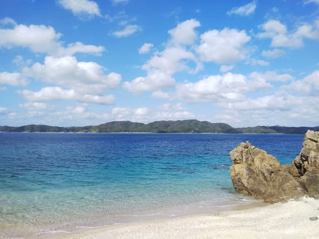 余っていたマイルで、初ＬＣＣ旅へ。<br />成田→奄美大島→那覇→羽田を2泊3日で弾丸旅行しました。