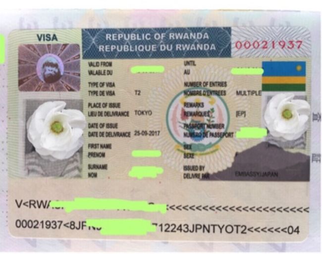 アフリカに行きたくて、旅行を計画。<br /><br />今回は<br />・ルワンダ<br />・ナイジェリア<br />・モザンビーク<br />の3カ国に行くことにしました。<br /><br /><br /><br />いずれの国もビザが必要で、以前に行く事ができなかったのですが、今回は渡航前に時間が取れたのでビザを取得できました。<br /><br /><br />ビザは、東京の大使館へ郵送し取得しました。<br /><br /><br />友人に見せてもらった、ゴリラのホログラムのビザが欲しかったので、Eビザではなく、お金と手間がかかりましたが大使館にパスポートを送りシールのビザを取得しました。<br /><br />大使館のビザ取得方法のまま、不備なく書類を送るとすぐにパスポートが返ってきました。<br /><br /><br />2ヶ所に顔写真があるのは、今まで20ヵ国程のビザを取得しましたが初めてでした^^<br /><br /><br />